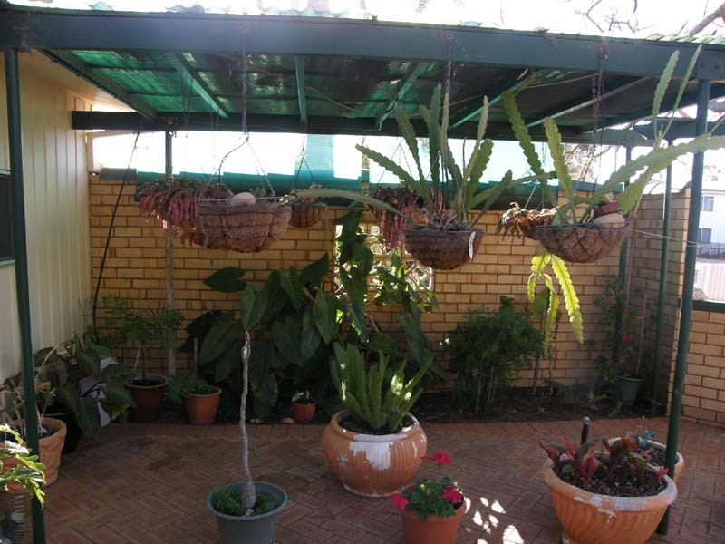 13 Maver Street, Kalbarri WA 6536