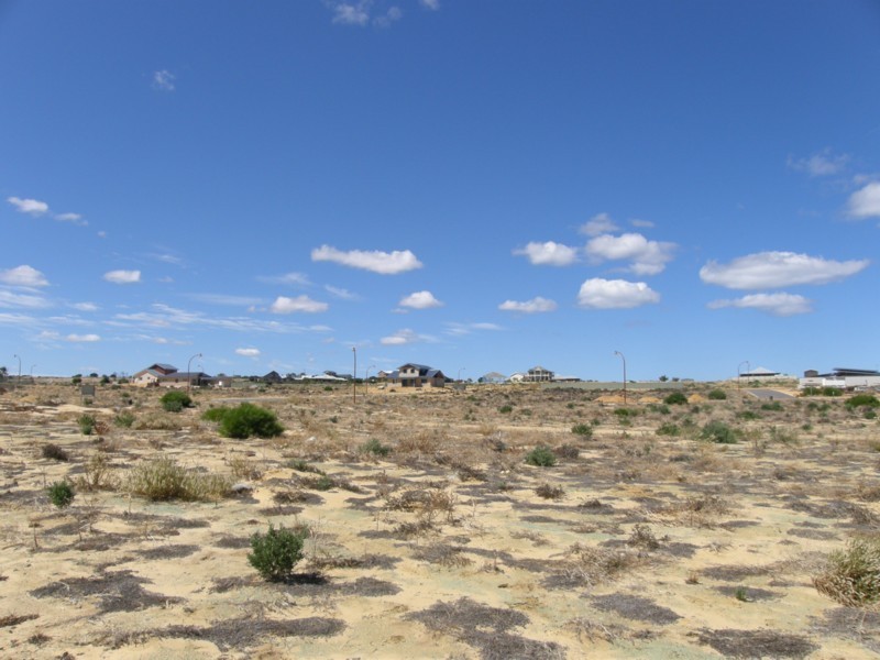 Lot 167 Stemodia Street, Kalbarri WA 6536