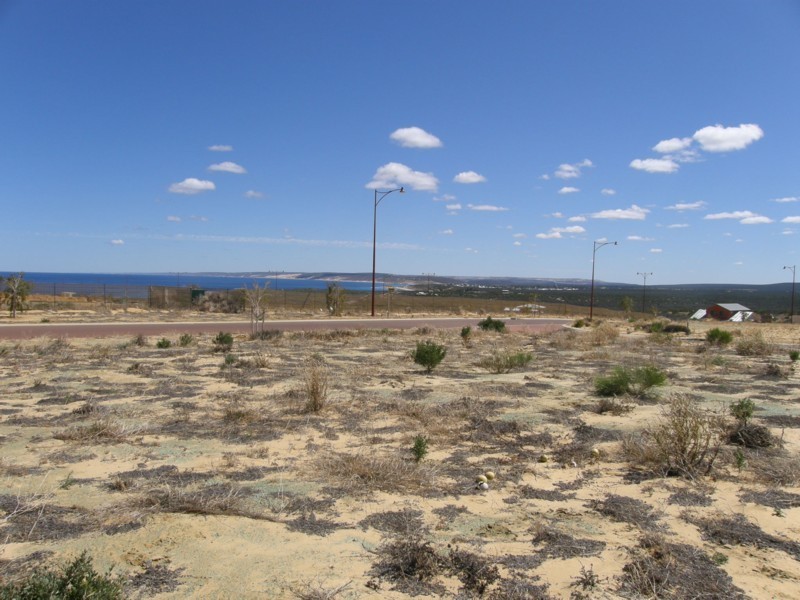 Lot 167 Stemodia Street, Kalbarri WA 6536
