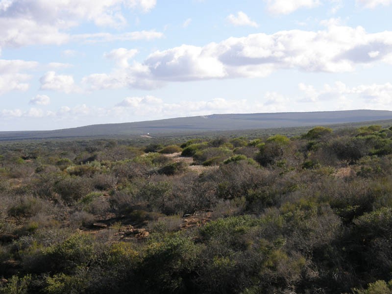 9 Darwinia Drive Lot, Kalbarri WA 6536