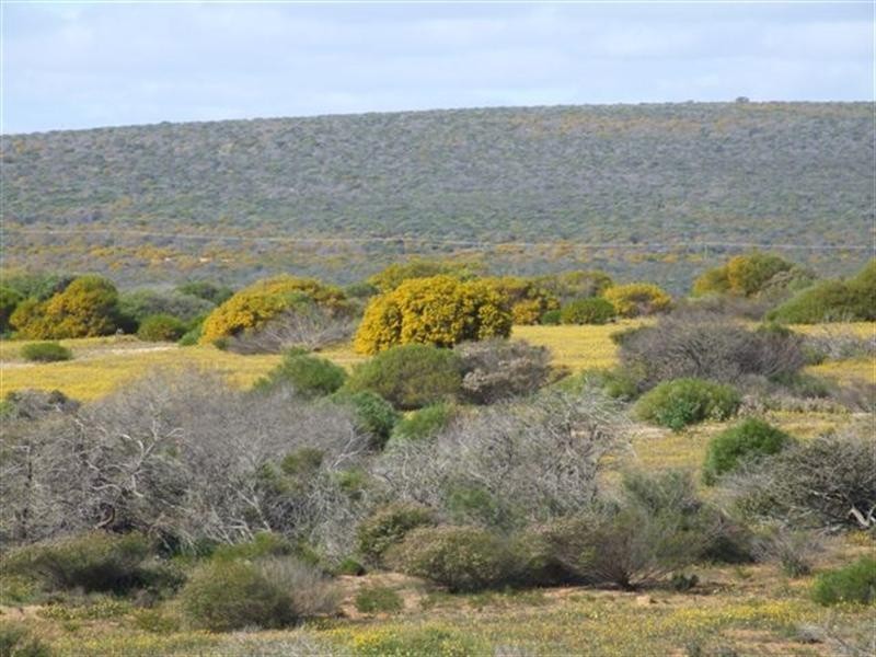 9 Darwinia Drive Lot, Kalbarri WA 6536