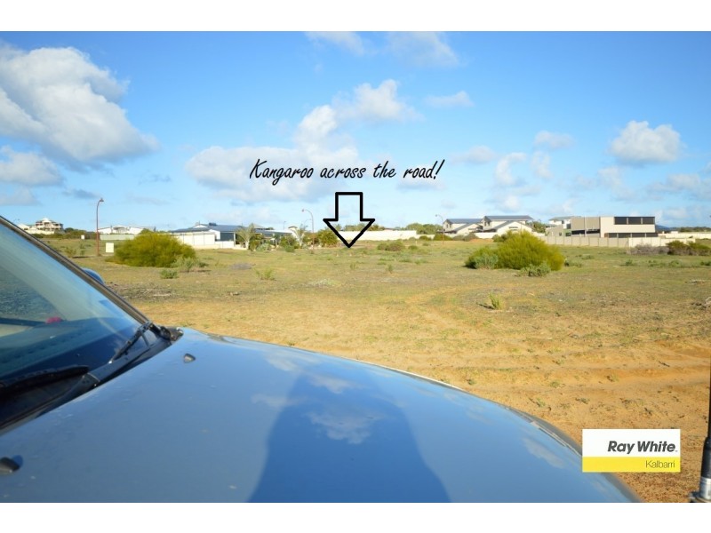 5 Lot 264 Stemodia Street, Kalbarri WA 6536