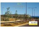 5 Lot 264 Stemodia Street, Kalbarri WA 6536
