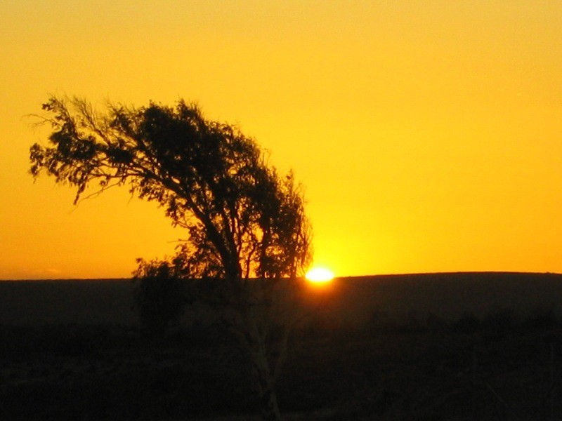 Lot 54 Pelican Road, Kalbarri WA 6536