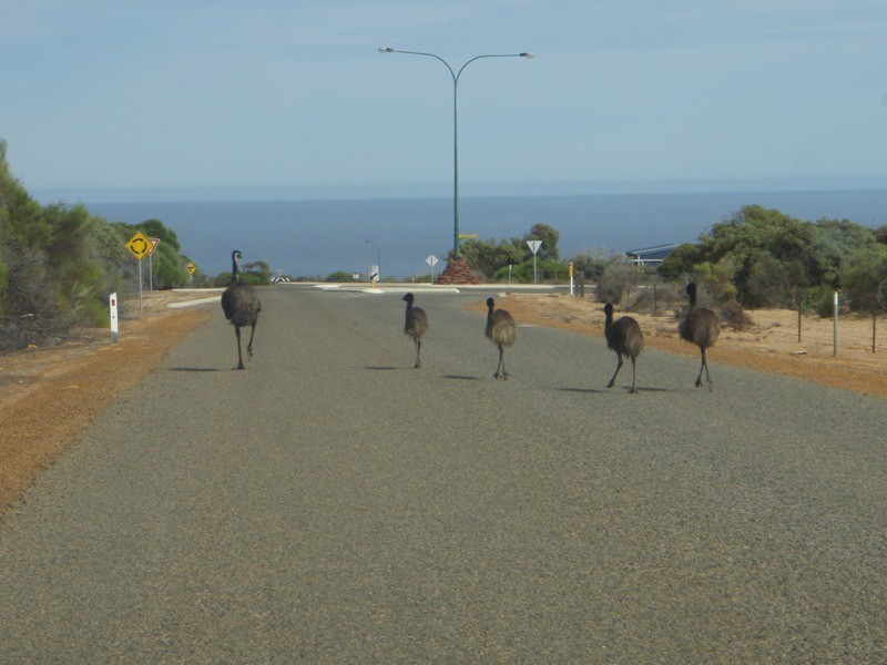 59 Stiles Road, Kalbarri WA 6536