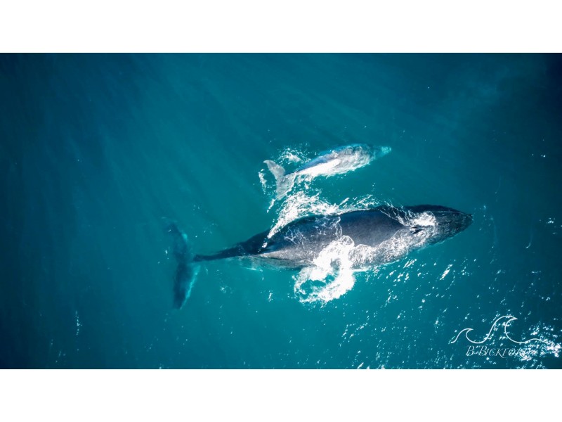 13 Lot 10 Hackney Street, Kalbarri WA 6536