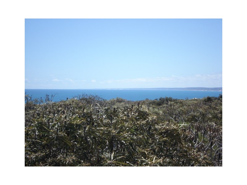 68 Explorer Avenue, Kalbarri WA 6536