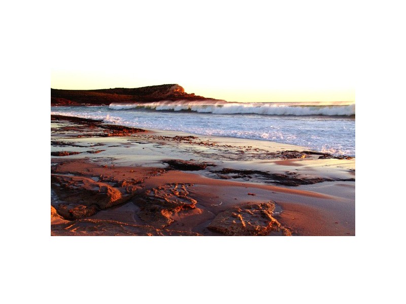 5 Waitzia Way, Kalbarri WA 6536