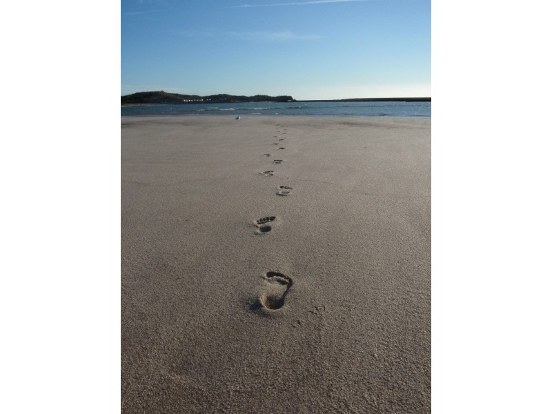 5 Waitzia Way, Kalbarri WA 6536