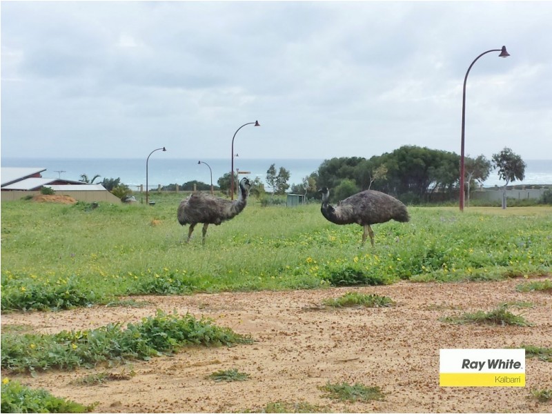 64 Lot 20 Walker Street, Kalbarri WA 6536