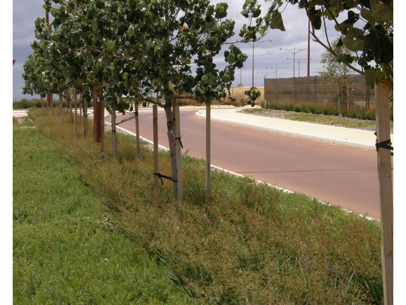 19 Lot 153 Wurmbea Way, Kalbarri WA 6536