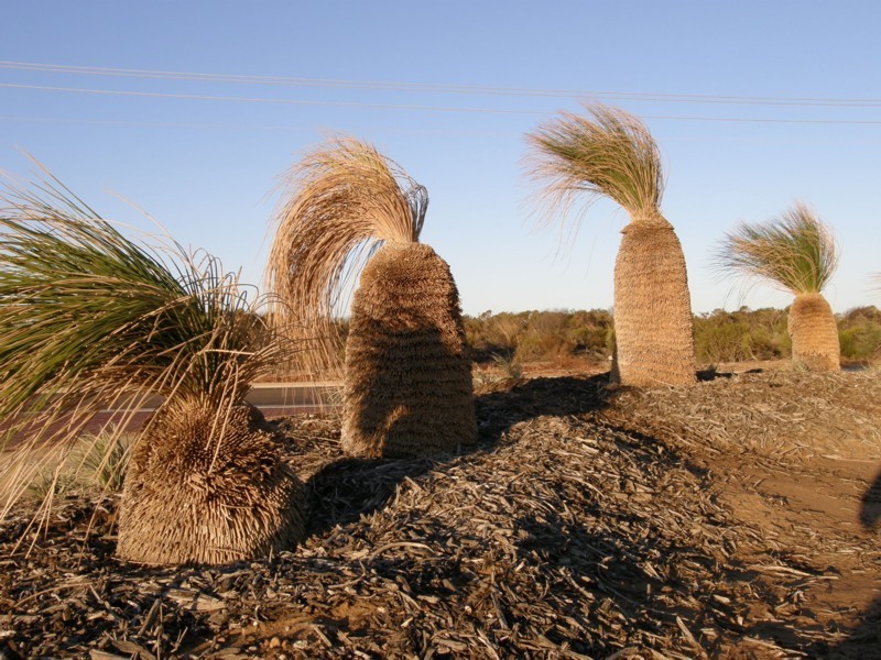 Lot 21 Phelps Loop, Kalbarri WA 6536