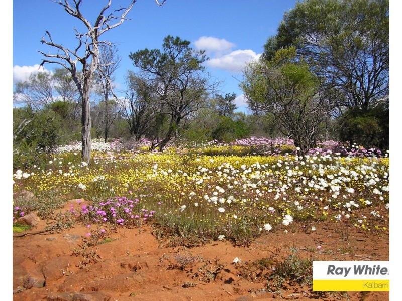 13 Lot 5 Ranch Court, Kalbarri WA 6536