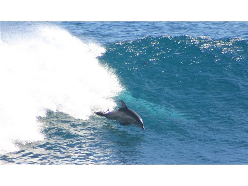 15 Lot 99 Darwinia Drive, Kalbarri WA 6536