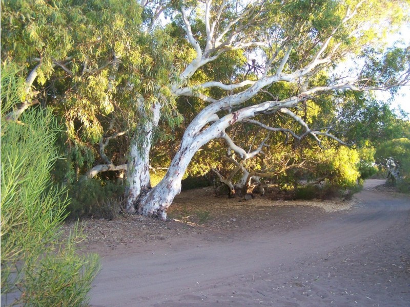 14 Lot 8 Ranch Court, Kalbarri WA 6536