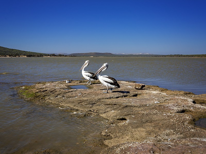 14 Lot 8 Ranch Court, Kalbarri WA 6536