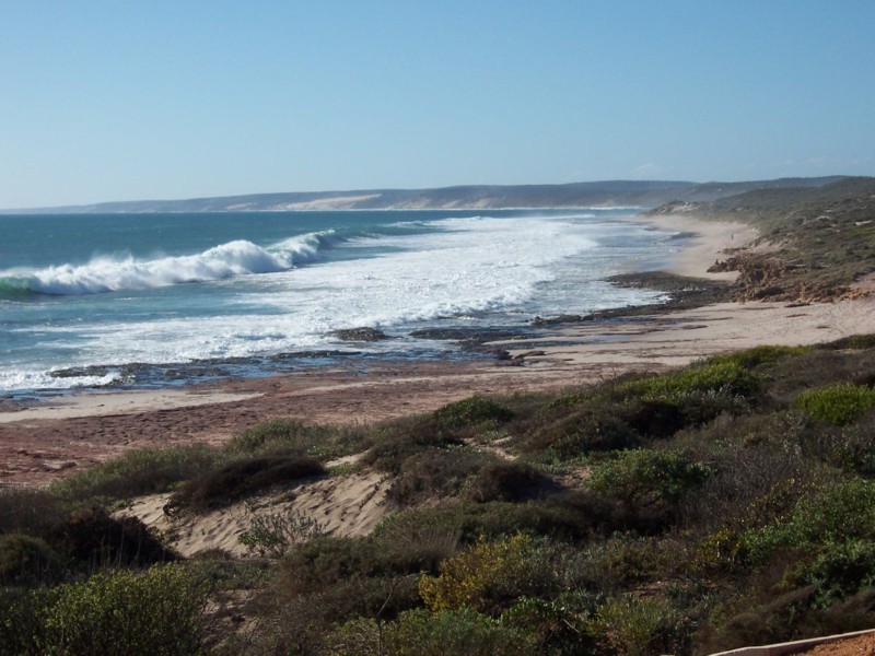Lot 167 # 2 Stemodia Street, Kalbarri WA 6536