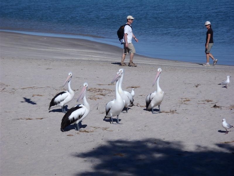 18 Sunstone Drive (Lot 87), Kalbarri WA 6536