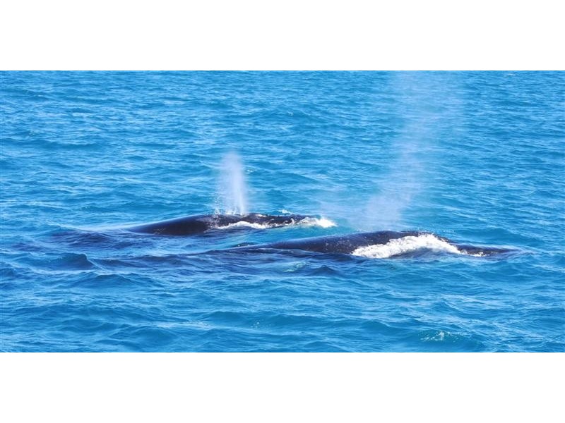 26 Jasper Vista (Lot 17), Kalbarri WA 6536