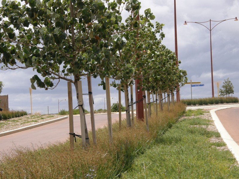 37 Darwinia Drive (Lot 89), Kalbarri WA 6536