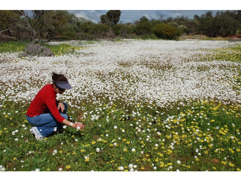 27 Lot 130 Lawrencia Loop, Kalbarri WA 6536