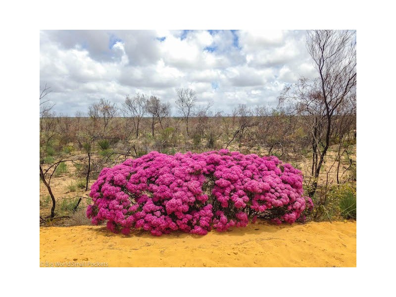 27 Lot 130 Lawrencia Loop, Kalbarri WA 6536