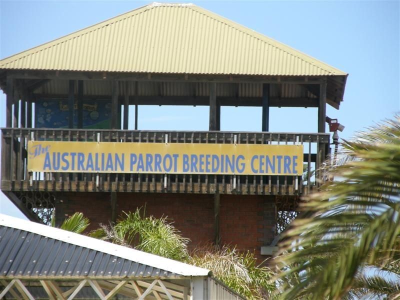 14 Bridgeman Road, Kalbarri WA 6536