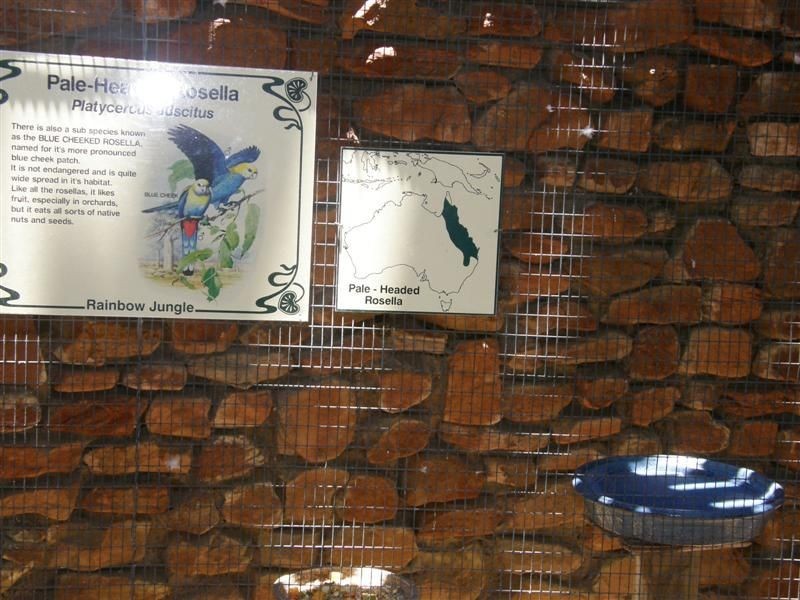 14 Bridgeman Road, Kalbarri WA 6536