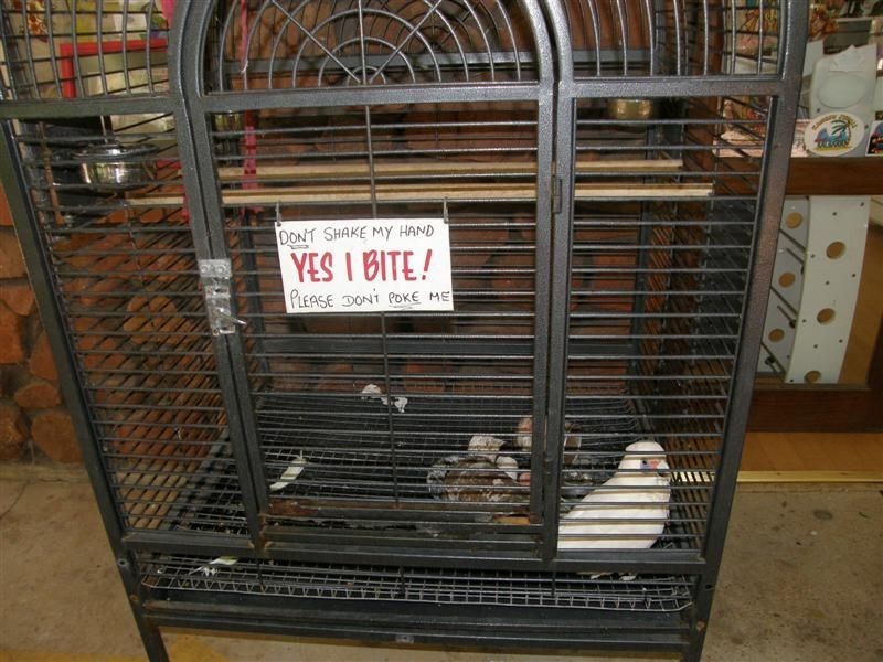 14 Bridgeman Road, Kalbarri WA 6536