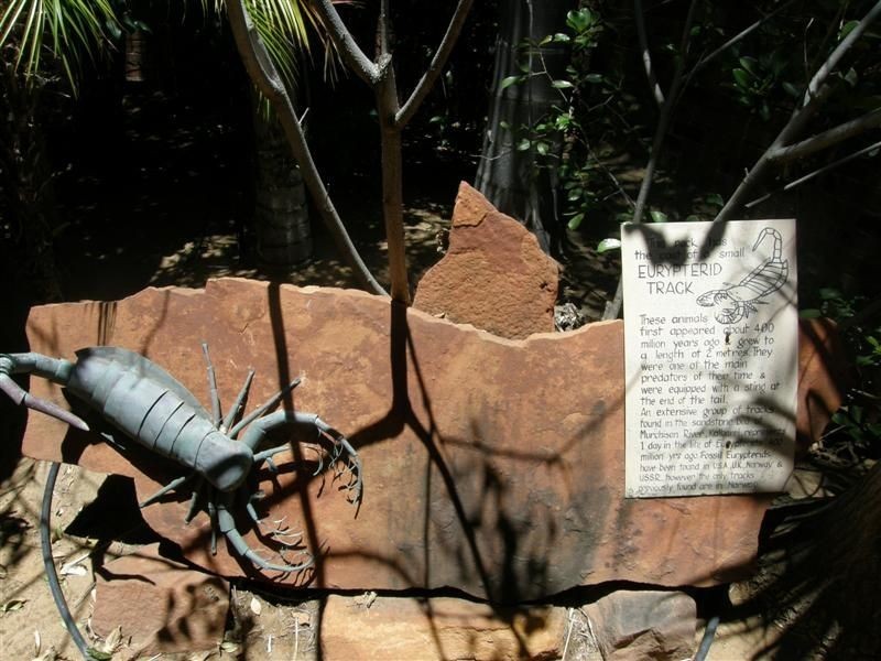 14 Bridgeman Road, Kalbarri WA 6536