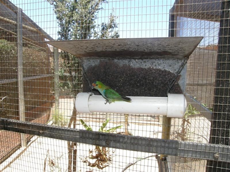 14 Bridgeman Road, Kalbarri WA 6536