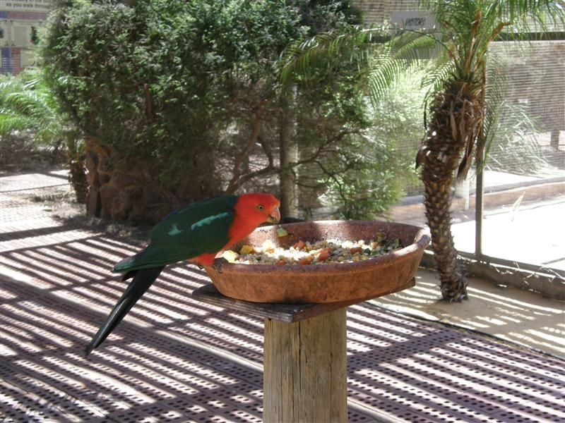 14 Bridgeman Road, Kalbarri WA 6536