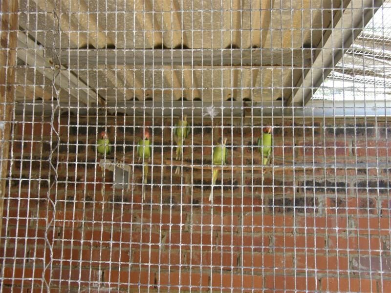 14 Bridgeman Road, Kalbarri WA 6536