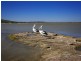 9 Lot 3 Ranch Court, Kalbarri WA 6536