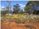 12 Lot 9 Ranch Court, Kalbarri WA 6536