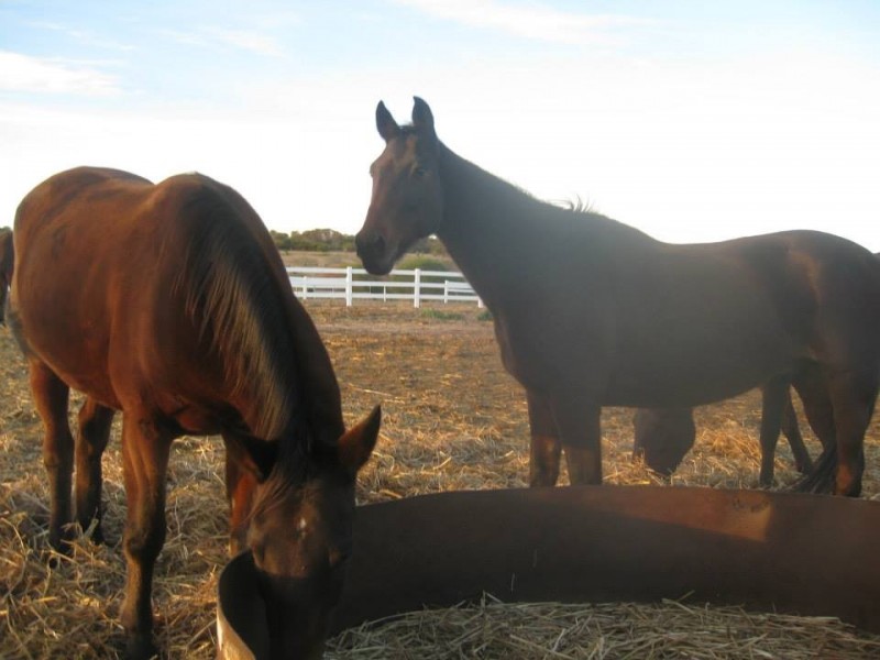 10 Lot 10 Ranch Court, Kalbarri WA 6536