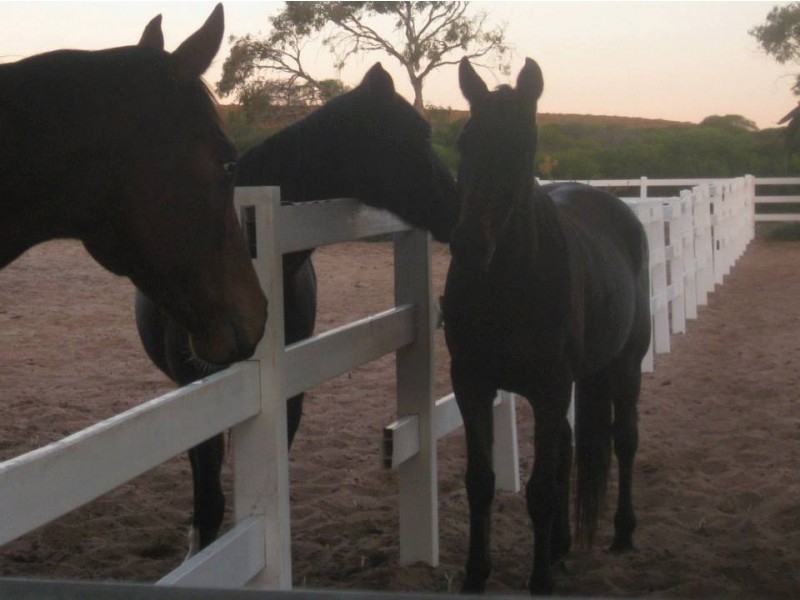 10 Lot 10 Ranch Court, Kalbarri WA 6536