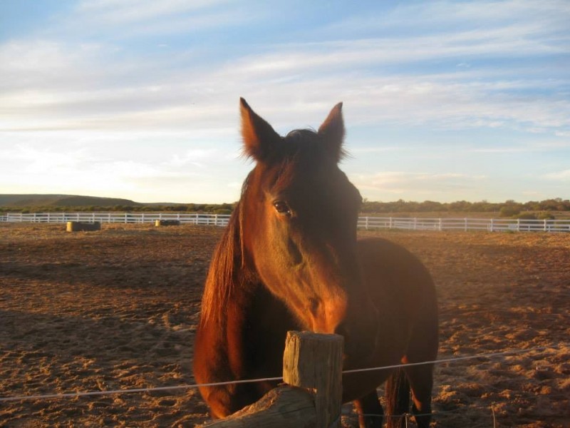 10 Lot 10 Ranch Court, Kalbarri WA 6536