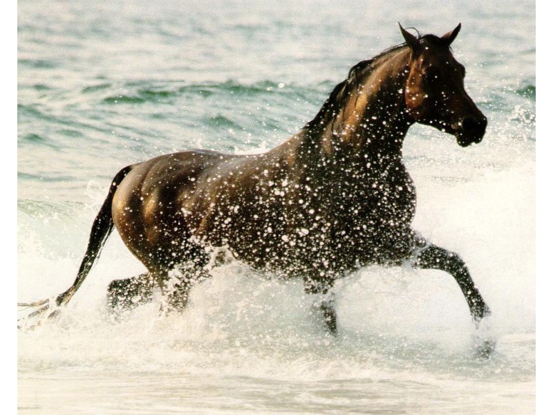 4 Lot 13 Ranch Court, Kalbarri WA 6536