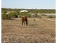 4 Lot 13 Ranch Court, Kalbarri WA 6536