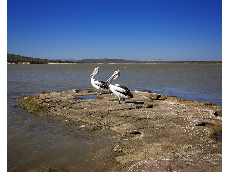 4 Lot 13 Ranch Court, Kalbarri WA 6536