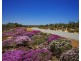 4 Lot 13 Ranch Court, Kalbarri WA 6536