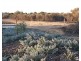 9 Lot 27 Phelps Loop, Kalbarri WA 6536