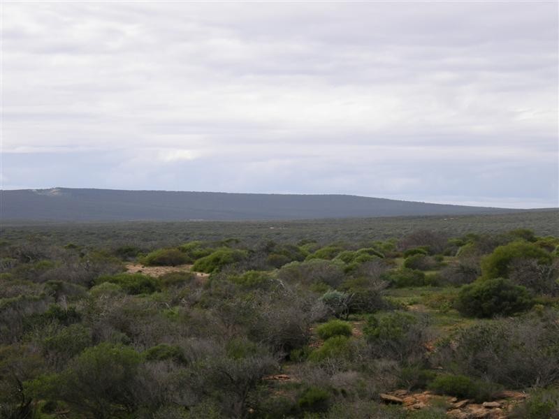 7 Darwinia Drive, Kalbarri WA 6536