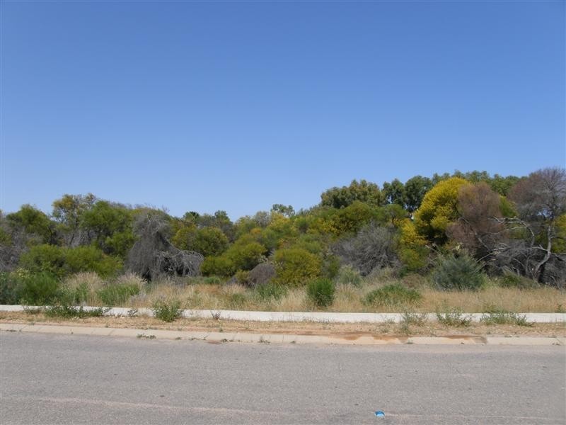 Lot 687 Waikiri Parade, Kalbarri WA 6536