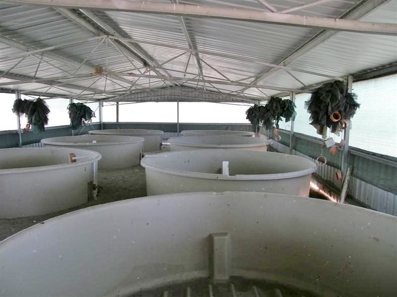 256 Erriary Road (Lot 10296), West Binnu WA 6532