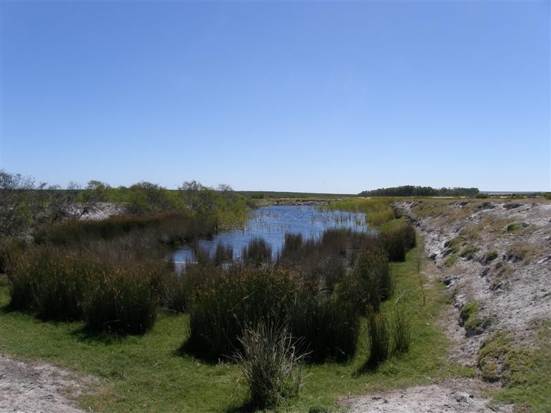 256 Erriary Road (Lot 10296), West Binnu WA 6532