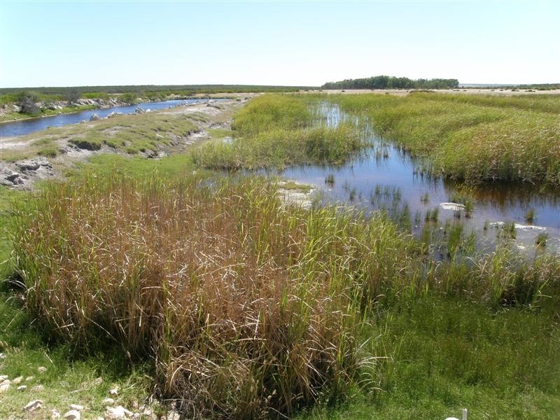 256 Erriary Road (Lot 10296), West Binnu WA 6532