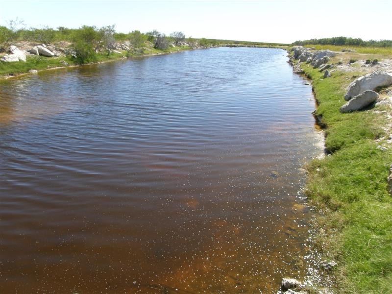 256 Erriary Road (Lot 10296), West Binnu WA 6532