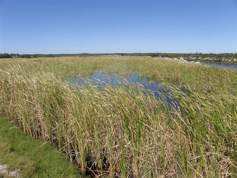 256 Erriary Road (Lot 10296), West Binnu WA 6532